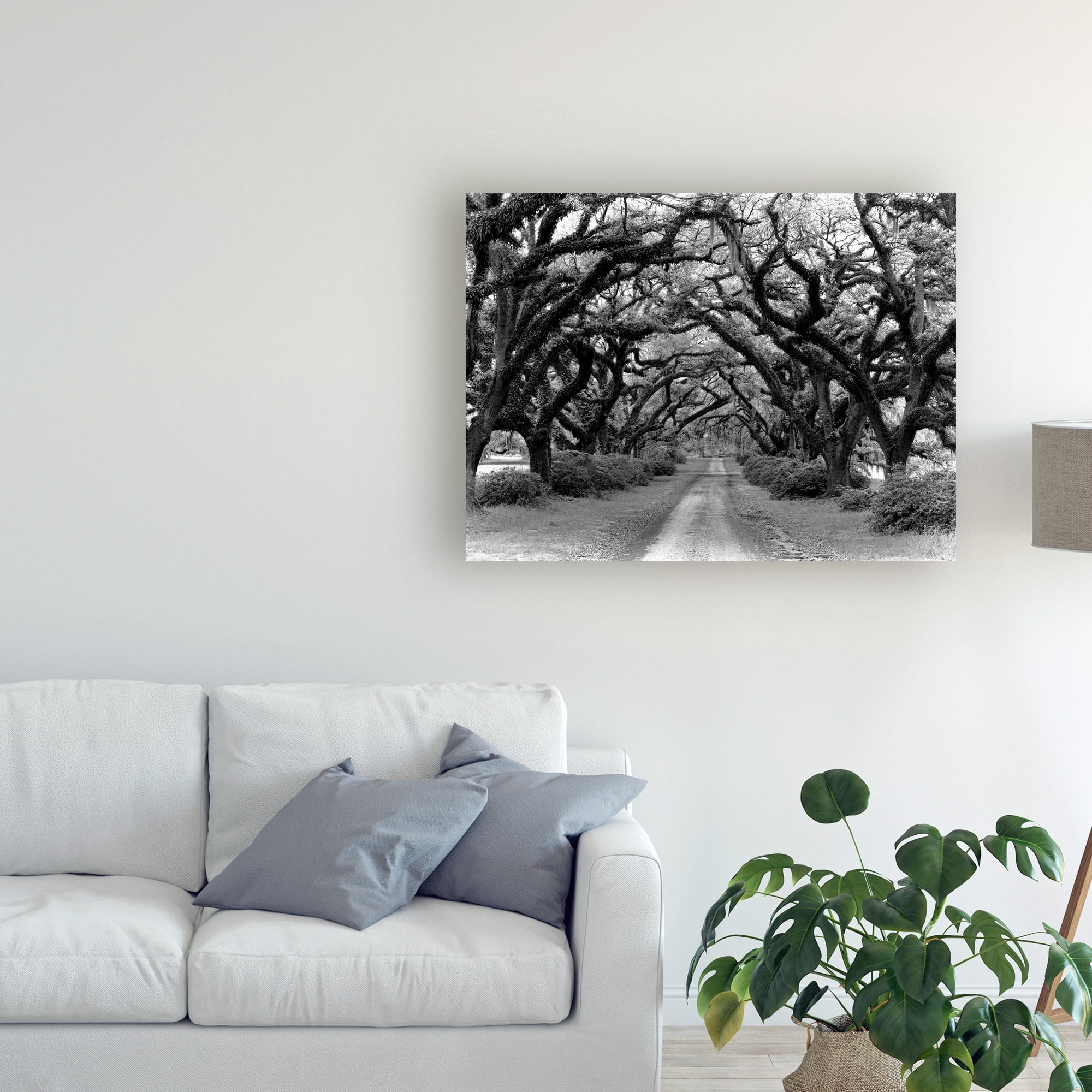 Trademark Fine Art 'Path In The Oaks Louisiana' Canvas Art by Monte Nagler