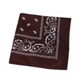 thumbnail image 1 of Yuarrent Bufanda pequeña cuadrada de moda Hip hop Cool Guy mujeres hombres impresión cabeza envoltura rap estrella pañuelo cuello lazo para el pelo Accesorios para máquinas de ejercicios Café Yuarrent JJ15373-11, 1 of 6