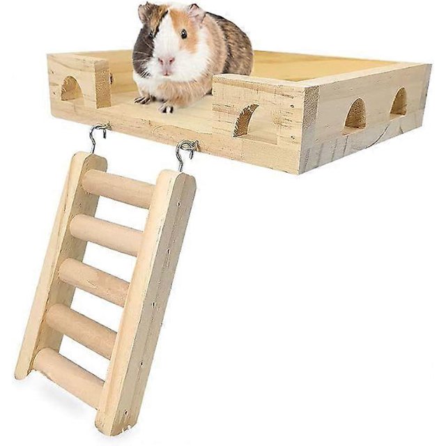 Wood Bird Perch-Toys and Accessories for Parrot, Parakeet, Syrian Hamster, Ferret, Chinchilla, Guinea Pig-Hamster Play Stand Platform with Ladder