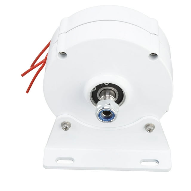 200W Electric Motor Generator Home Gearless Three Phase Alternator with Aluminum Alloy Shell Low Speed Permanent Generator for Vertical Horizontal Wind
