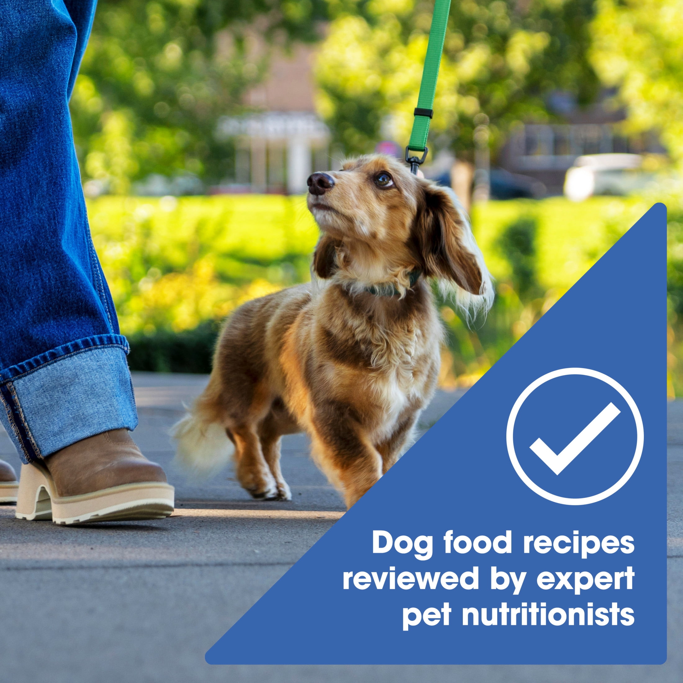 Nature's Recipe Grain Free Small Breed Dry Dog Food Chicken, Sweet Potato & Pumpkin, 12 lb Bag