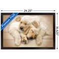 thumbnail image 3 of Keith Kimberlin - Puppies - Golden Retrievers Cuddling Wall Poster, 14.725" x 22.375", Framed, 3 of 3