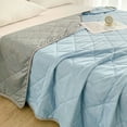 thumbnail image 3 of InsCrazy Cooling Comforter Queen Size Machine washable and Easy Care Household Throw Blanket Thin Ice Blanket on Clearance, 3 of 7