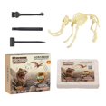 thumbnail image 4 of Archaeology Discovery Excavation Kits Archaeology Science Kits for Preschool Style G, 4 of 8