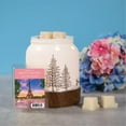 thumbnail image 4 of ScentSationals, Scented Wax Cubes, Pretty Please, 4 of 4