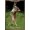 Bronze Framed Version, variant on Famous Kitten Hang In There Poster