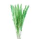 thumbnail image 1 of Monstrate 15 Pieces Small Dried Flower Branch Props Festival Home Photography Decoration Bedroom Birthday Wedding Celebration Kits de decoración para fiestas No.2, 1 of 6