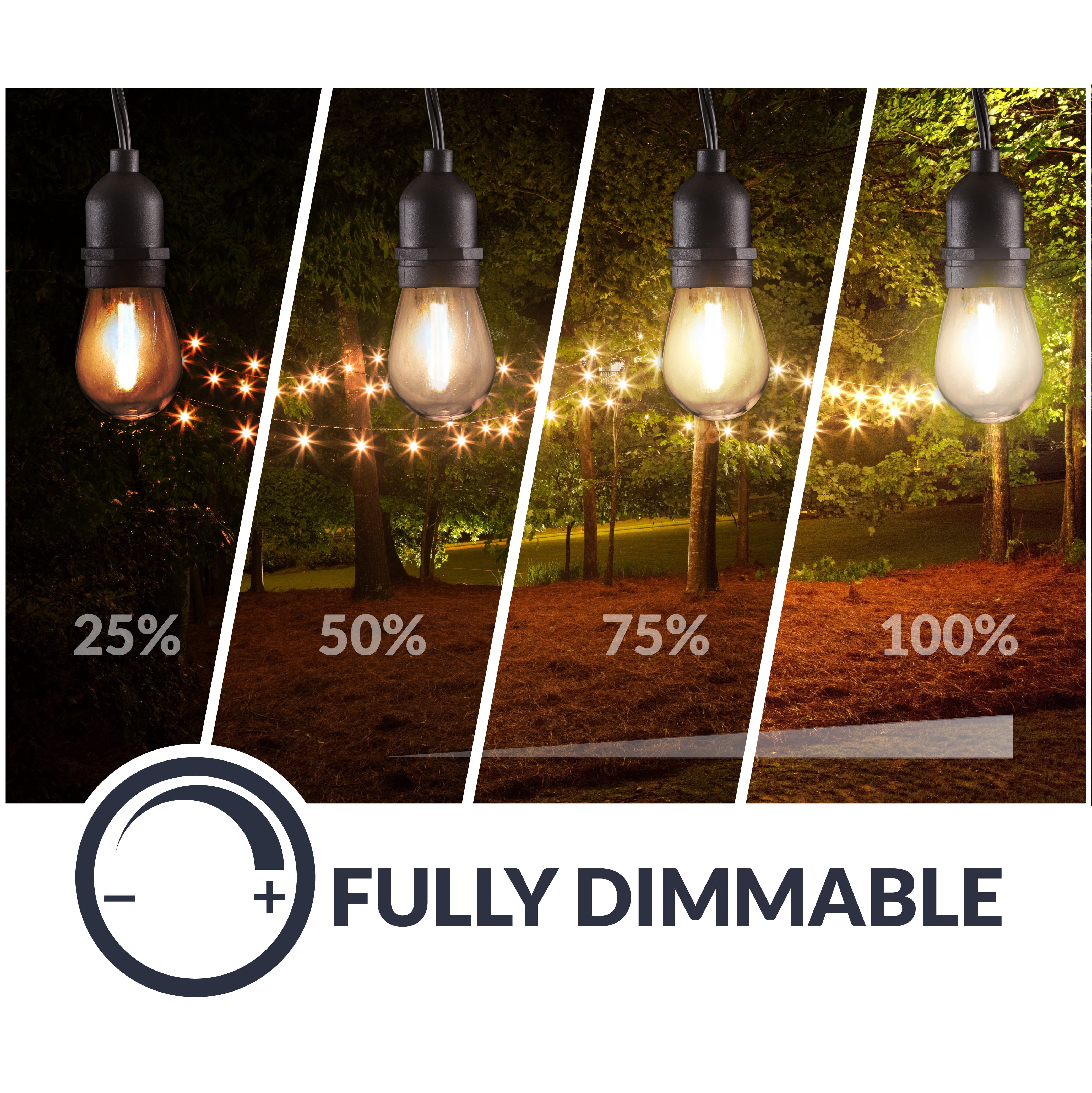 Newhouse Lighting LED String Lights with Weatherproof Technology, Dimmable with Wireless Remote Control, 48ft and 16 (15+1 Free) LED Light Bulbs Included