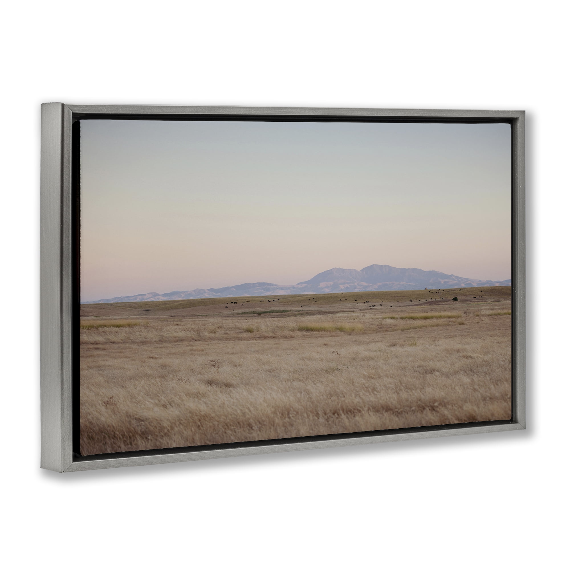 Stupell Industries Grizzly Island View Landscape & Nature Photography Gray Floater Framed Canvas Art Print Wall Art, 31 x 21