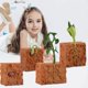 thumbnail image 1 of Xihbxyly Oferta Del Día Prime Liquidación de Hoy Jugues Model Of Ciclo de Crecimiento para Niños con Simulación Educativa, 1 of 7