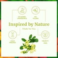 thumbnail image 3 of SVA Moringa Seed Oil Organic - 32 Fl Oz – 100% Natural Cold Pressed Moringa Oil - for Face, Skin Care, Hair Care, Scalp Massage & Body Massage – Carrier Oil with Dropper, 3 of 7