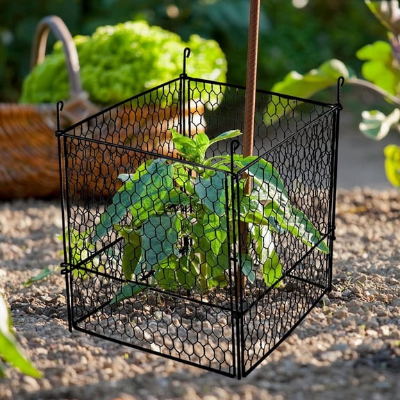 (4 Packs) Chicken Wire Cloche Plant Protector Cage Garden Cloches Plant Cloche to Protect Plant from Deer and Other Small Animals (11.8" L x 11.8" W x 11.8" H)