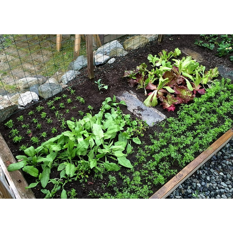 DIY VEGETABLE SEED MATS FOR SQUARE FOOT GARDENS