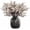 Beige, variant on Babys Breath Silk Artificial Flowers 12 Bundle European Fake Plants Decor Fall Decoration Bouquets DIY Home Garden (Beige Brown-12pcs)