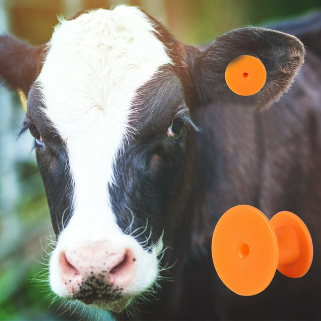 Convenient Livestock Number Ear Tag Ear Label, Livestock Ear Tag Sheep Cattle Animals Livestock Information Management Orange Round 30x30mm