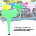 thumbnail image 2 of 50 Pack T-Shaped Garden Markers for Plants, Durable Plastic Labels for Nursery and Lawn Use, 2 of 5