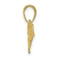 thumbnail image 2 of FJC Finejewelers 10k Yellow Gold Dragon Charmflat Engraved, 2 of 6