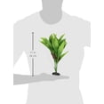 thumbnail image 2 of Marina Naturals Green Pickerel Silk Plant, Medium, 2 of 2