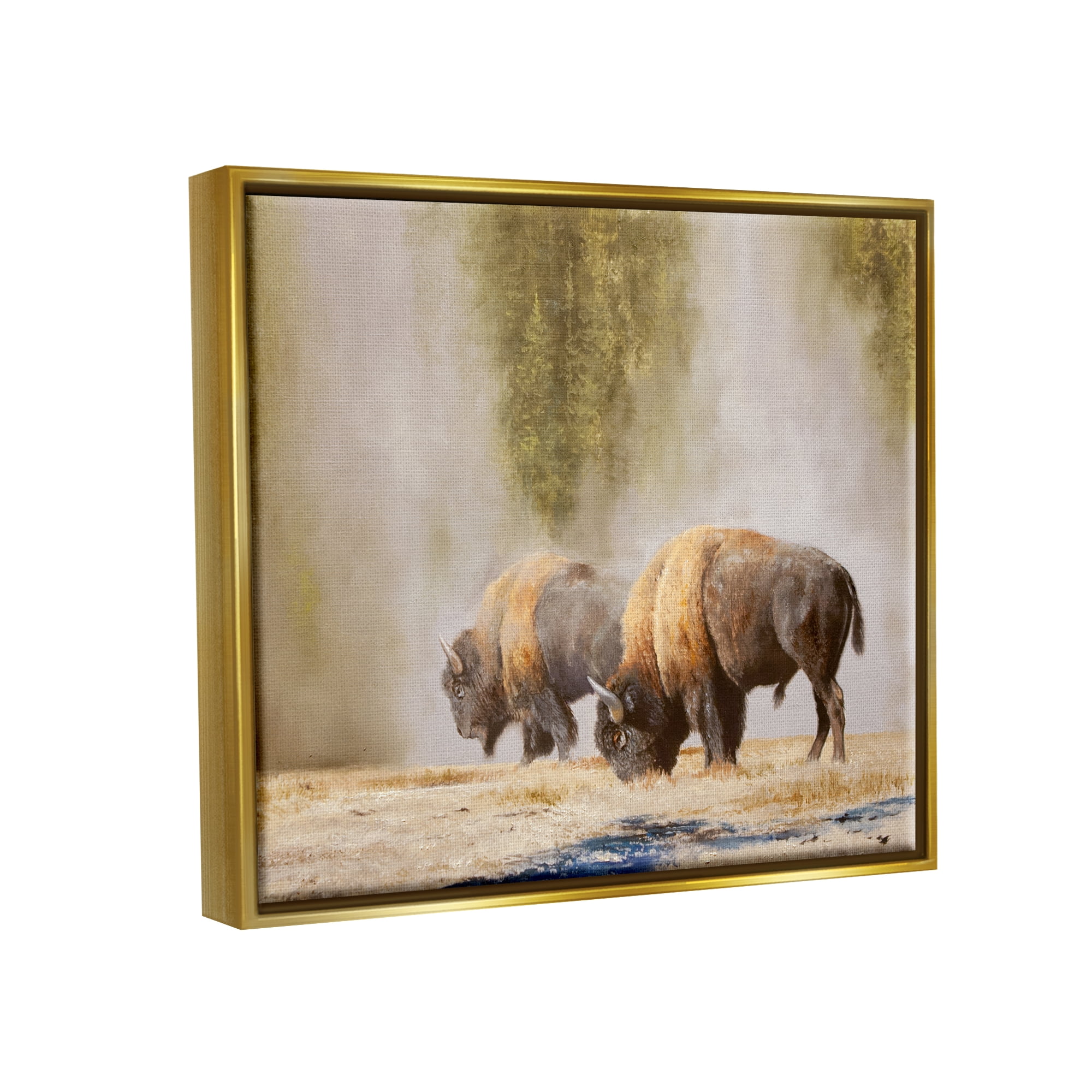Stupell Industries Bison Wildlife Photography Animals & Insects Painting Gold Floater Framed Art Print Wall Art