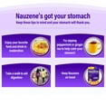 thumbnail image 6 of Nauzene Upset Stomach & Nausea Relief, Formulated with Ginger, Relief in 4 Minutes, Ginger Honey Flavor Chews, 42 Count, 6 of 7