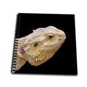 3dRose Central Bearded Dragon lizard portrait - Mini Notepad, 4 by 4-inch