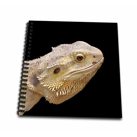 3dRose Central Bearded Dragon lizard portrait - Mini Notepad, 4 by 4-inch