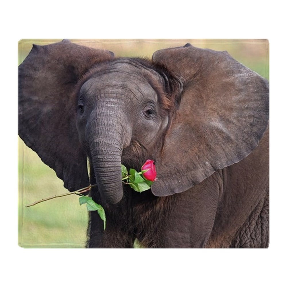 CafePress BABY ELEPHANT , LOVE Soft Fleece Throw Blanket, 50"x60