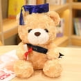 thumbnail image 1 of Muñeco de oso con sombrero de médico Muñeco de peluche de oso médico Muñeco de oso de graduación, 1 of 6