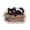 Multicolor-D, variant on Cute Bath Mat Kawaii Kitty Cat Dog Rug,Irregular Shaped Cute Bath Mat,Water Absorption Non-Slip Soft Imitation Floor Mat,Cozy Cold Isolating Foot Mat for Bedroom Bathroom Entrance Toilet Floor Decor