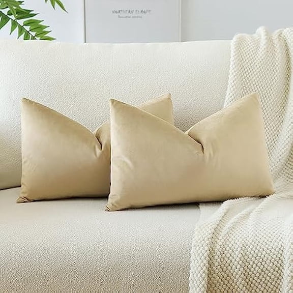 Eryueer Set of 2 Velvet Soft Solid Cushion Covers 30x50 cm Decorative Throw Pillow Covers Soft Lumbar Cushion Case Couch Home Decor Throw Pillow Cases for Sofa Bedroom 12x20 Inch (Khaki)