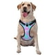 thumbnail image 1 of Balery Purple Dragon Scales Arnés para Perros Grandes Antitirones, Arnés con Correa para Gato, Arnés Tipo Chaleco para Perros Pequeños-Large, 1 of 6