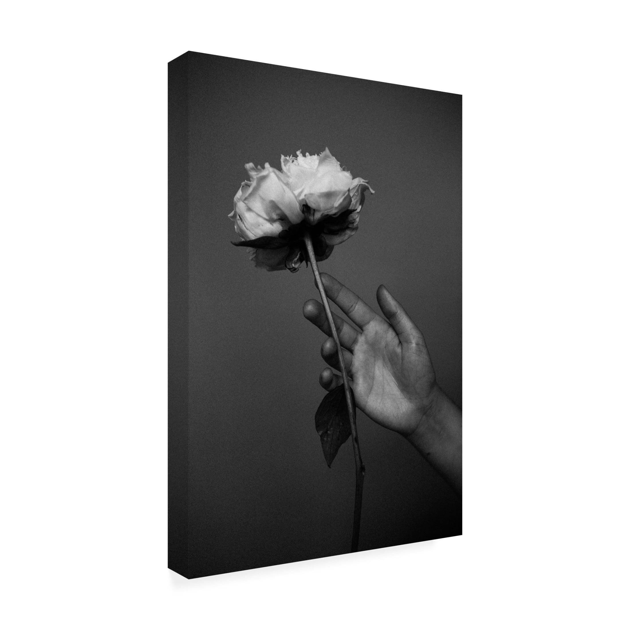 Trademark Fine Art Antonida Frolova Peony Canvas Wall Art