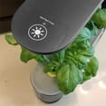 thumbnail image 3 of AeroGarden Sprout LED - Black, 3 of 4