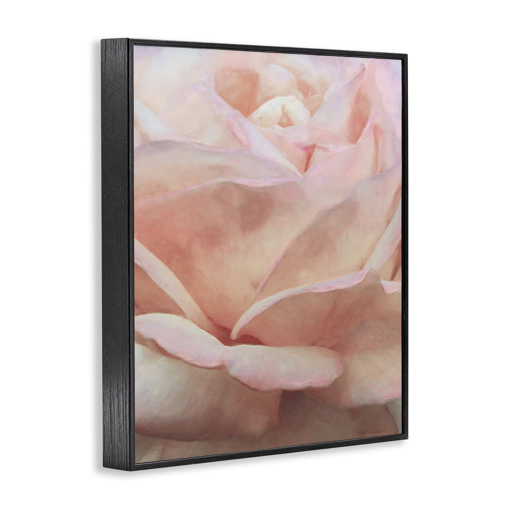 Stupell Industries Soft Rose Petals Botanical & Floral Painting Black Framed Art Print Wall Art, 11 x 14