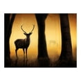 thumbnail image 3 of Tiptophomedecor Animal Wallpaper Wall Mural - Deer In His Natural Habitat, 3 of 4