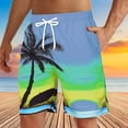 thumbnail image 1 of Traje De Baño Shorts De Imprimir Playa Bañadores Para Hombre, 1 of 1
