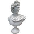thumbnail image 1 of Design Toscano PD72520 Apollo Belvedere Bust Statue, 12.5 Inch, White, 1 of 5