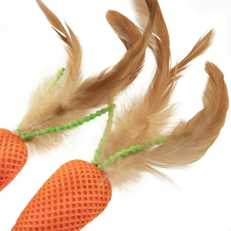 SmartyKat Crazy Carrots Flexible Bat and Chase Toy - Walmart.com