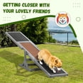 thumbnail image 5 of PawHut Wooden Dog Agility Seesaw for Training and Exercise, Platform Equipment Run Game Toy Weather Resistant Pet Supplies, Gray, 5 of 9
