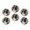 C0773, variant on Glass Refrigerator Magnet 6Pcs Magnetic Fridge Sticker,Decor for Kitchen,Whiteboard,Cabinet,Stained Glass Effect Cardinal On Snowy Branch