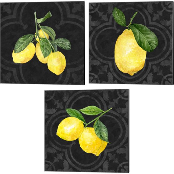 Great Art Now Live with Zest by Tara Reed 3 Piece Canvas Art Set Each 14"W x 14"H