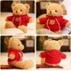 thumbnail image 5 of RV Bear Toys Muñeco de Peluche Ragdoll de Peluche, Oso con suéter Rojo, C Rojo Verde, 5 of 5