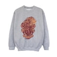 thumbnail image 1 of Harry Potter Boys Gryffindor Sketch Crest Sweatshirt, 1 of 3