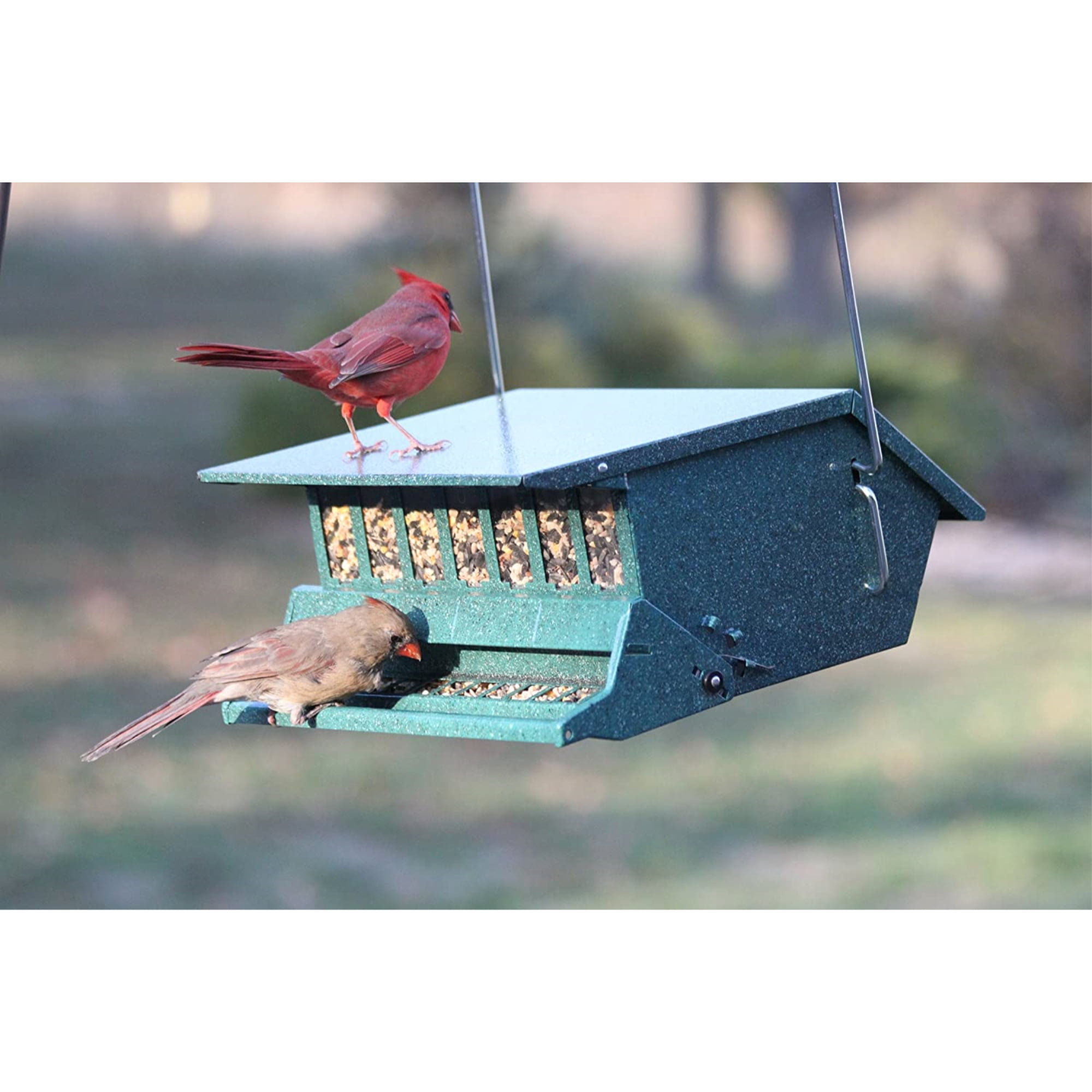 WoodLink Squirrel Proof Bird Feeder, Adjustable Weight,  Steel Body - Holds 9 Lbs - Green