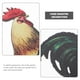 thumbnail image 5 of Letrero de gallinero con forma de estaca para jardín, escultura de gallo realista para jardín, 5 of 5