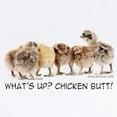 thumbnail image 2 of CafePress - What's Up? Chicken Butt! Infant Bodysuit - Baby Light Bodysuit, Size Newborn - 24 Months, 2 of 4