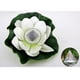 thumbnail image 5 of Solar Lámpara de Forma Flor Luces Iluminación Herramientas de Jardinería Patio Oficina blancos Cola Luz flotante de la noche del loto, 5 of 8