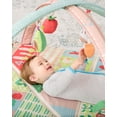 thumbnail image 3 of Skip Hop Farmstand Grow & Play Baby Activity Gym for Ages 0-2 Years, 3 of 5