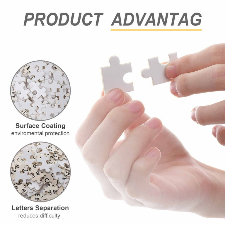 Puzzle 1000 Pièces Succulentes - 23 Plantes D'intérieur - Vintage Et éducatif