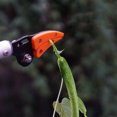 thumbnail image 3 of maskred Sturdy And Durable Telescopic Pruning Shears Wide Application Aluminium Alloy Materials Easy, 3 of 6